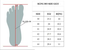 Chọn size giày đúng cách: Bảng chọn size và cách đo chân
