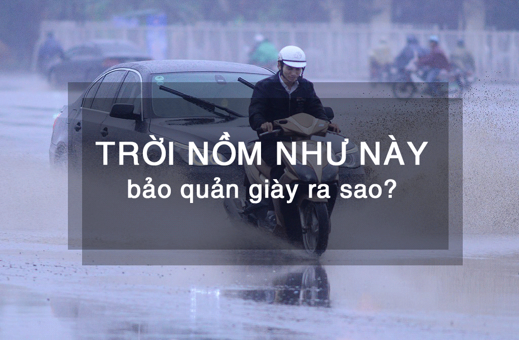 [PHẢI BIẾT] NỒM ẨM - Làm sao để bảo quản giày khô thoáng?